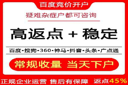 SEM主管实战：案例分析与优化策略